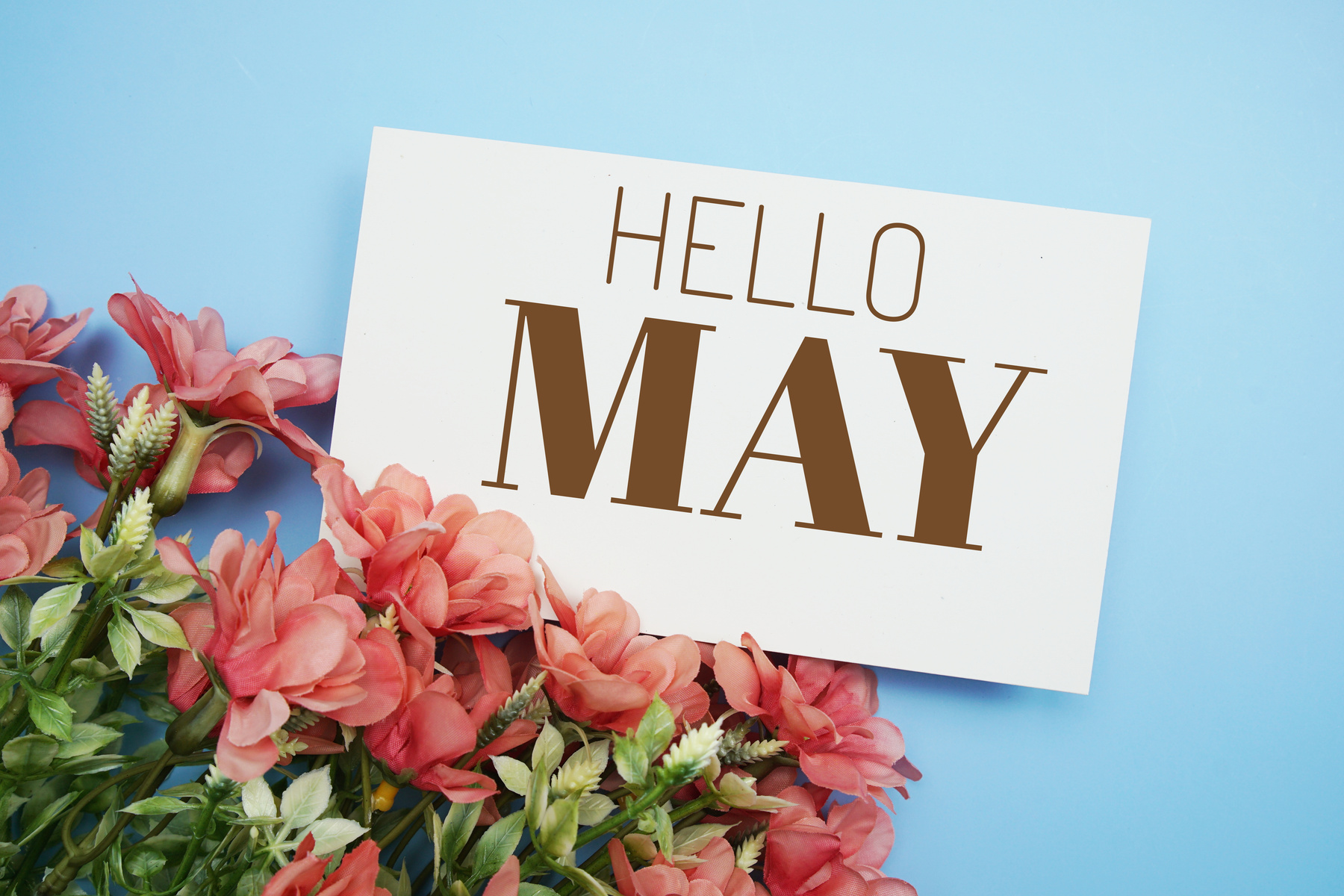 Hello May text message with flower decoration on blue background